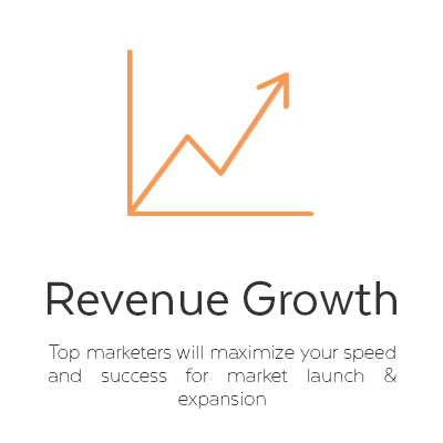 1 Revenue growth.jpg